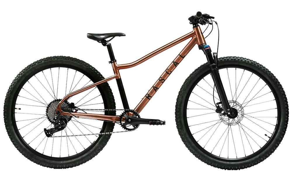 Juniorské kolo RASCAL WILD 29 BRONZ